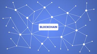 Leyu Sport登录入口-英超青训采用虚拟现实技术强化战术理解与应变能力，英超试训