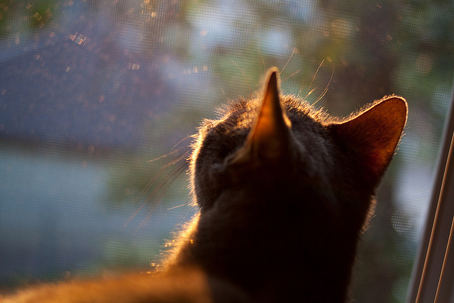 中国三人篮球男队注重比赛时机把控能力，中国三人篮球男队战绩