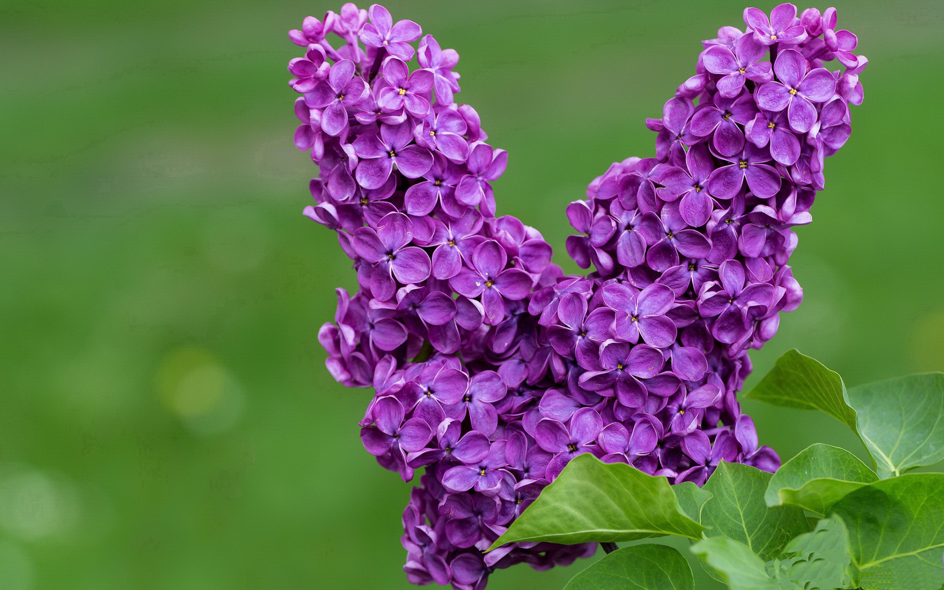 乐鱼电竞在线平台-中立B男子阵容结构科学，未来可期，中立球队