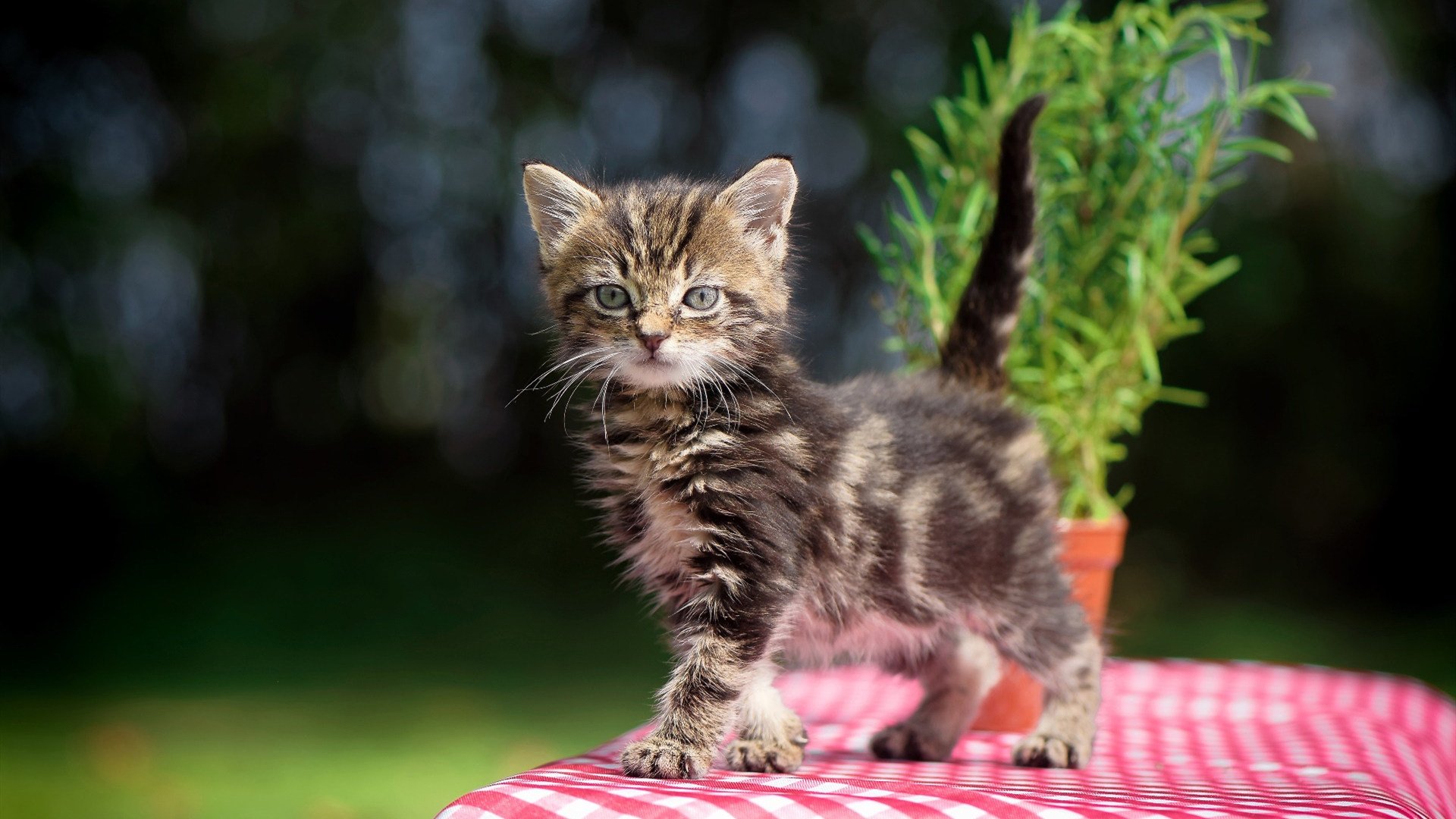 国际热身赛中国青年队战胜 球迷鼓励新人崛起，国家队热身赛有出场费吗