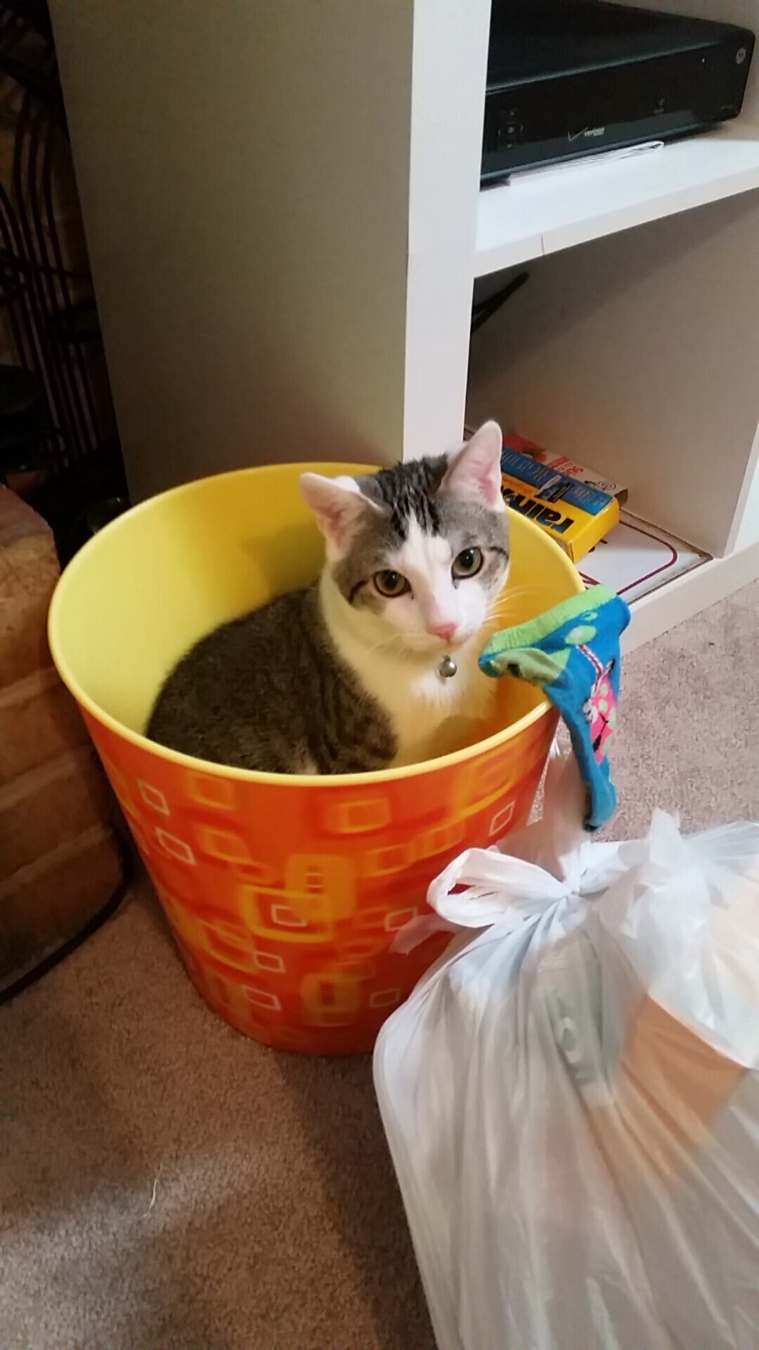 乐鱼体育App下载-巴黎边中结合制造出更多破门机会，巴黎边界