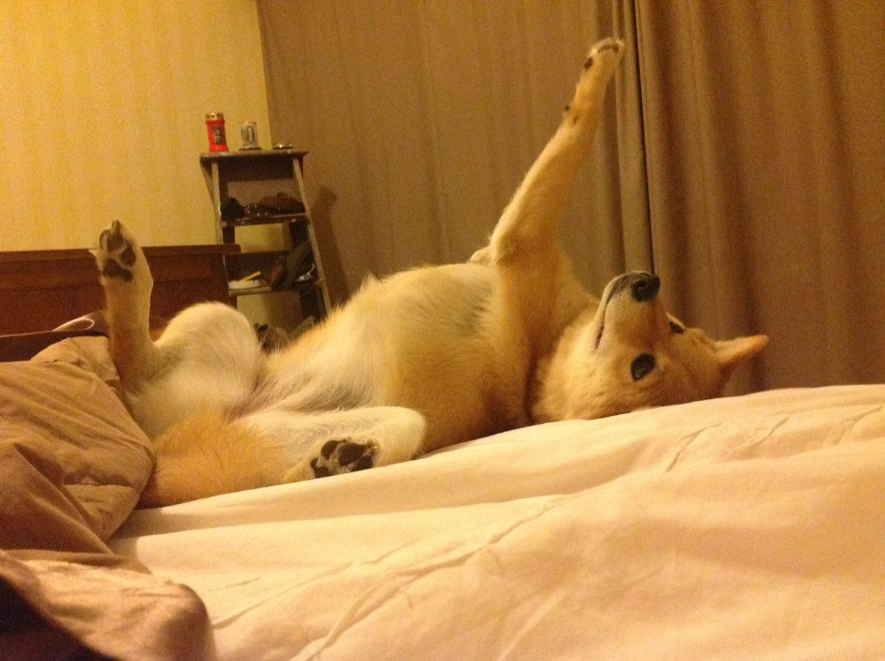 乐鱼体育-田径赛场加入风压感知设备模拟实战条件，田径运动中测风速