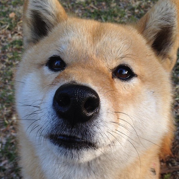 乐鱼体育APP官方下载-男子自由泳再破全国纪录，男子自由泳名将