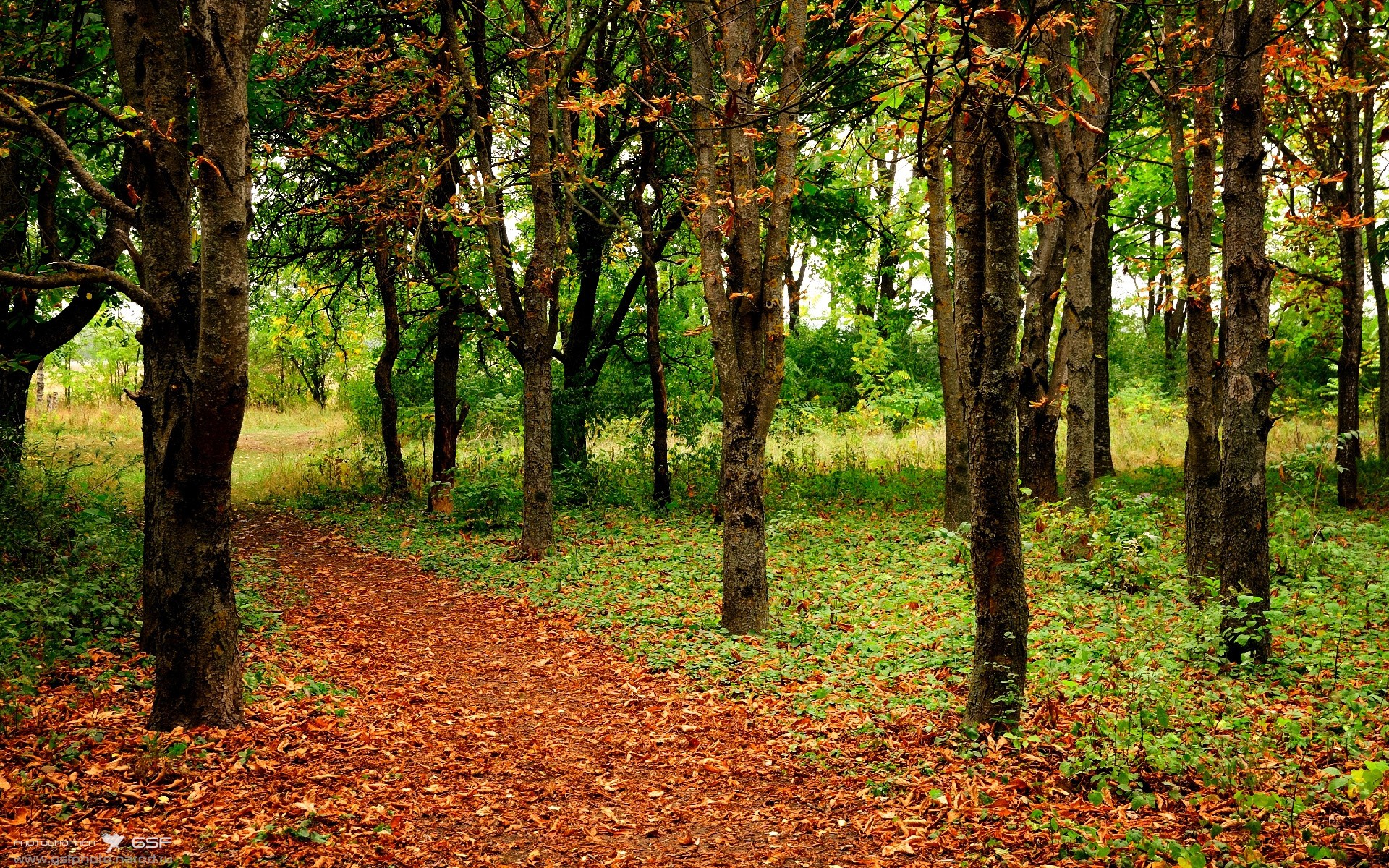 中国男子接力赛场发挥获教练肯定，中国男子接力队