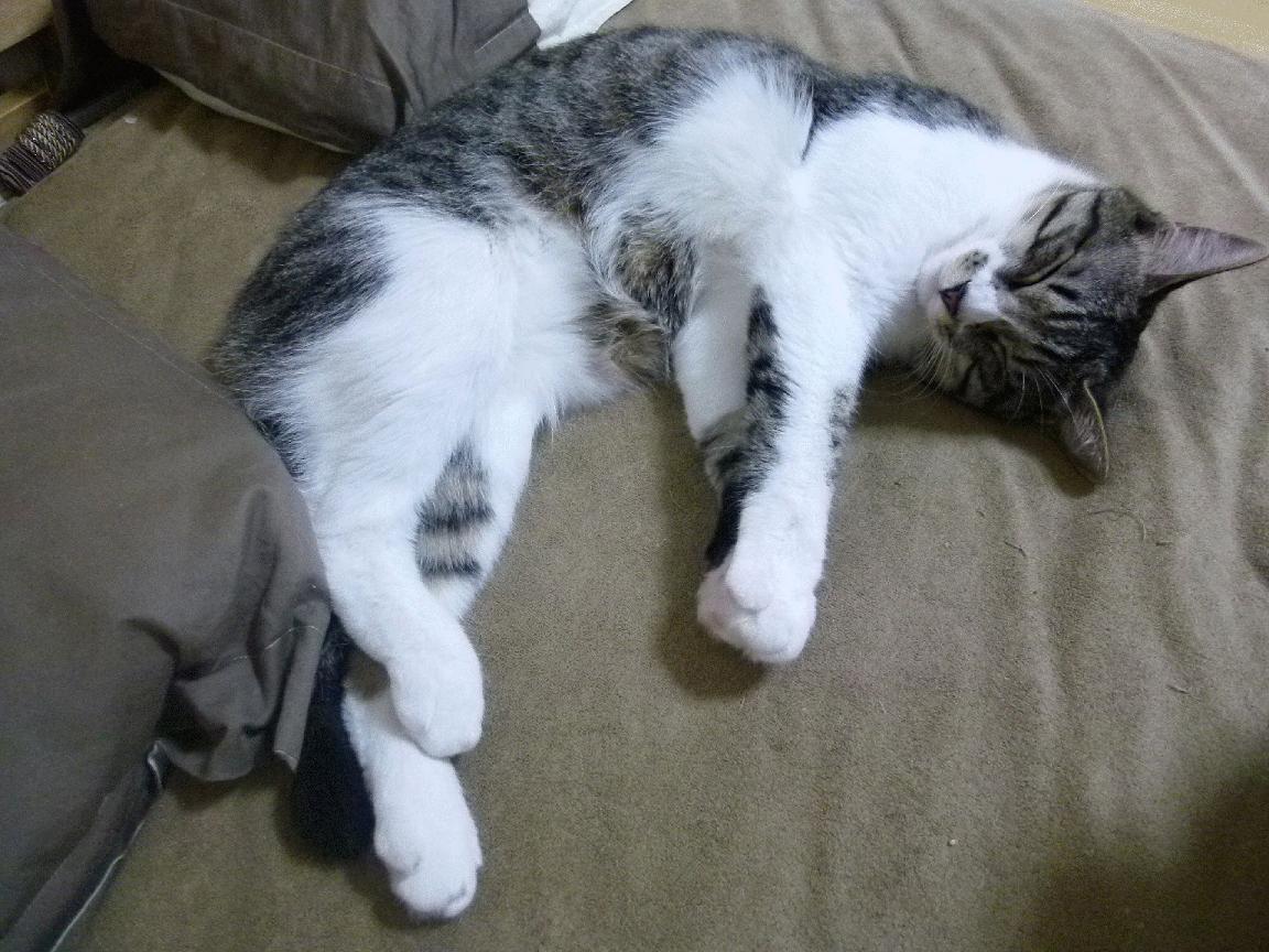 乐鱼电竞在线平台-中国足球联赛制定球员社会形象评价标准，足球人员