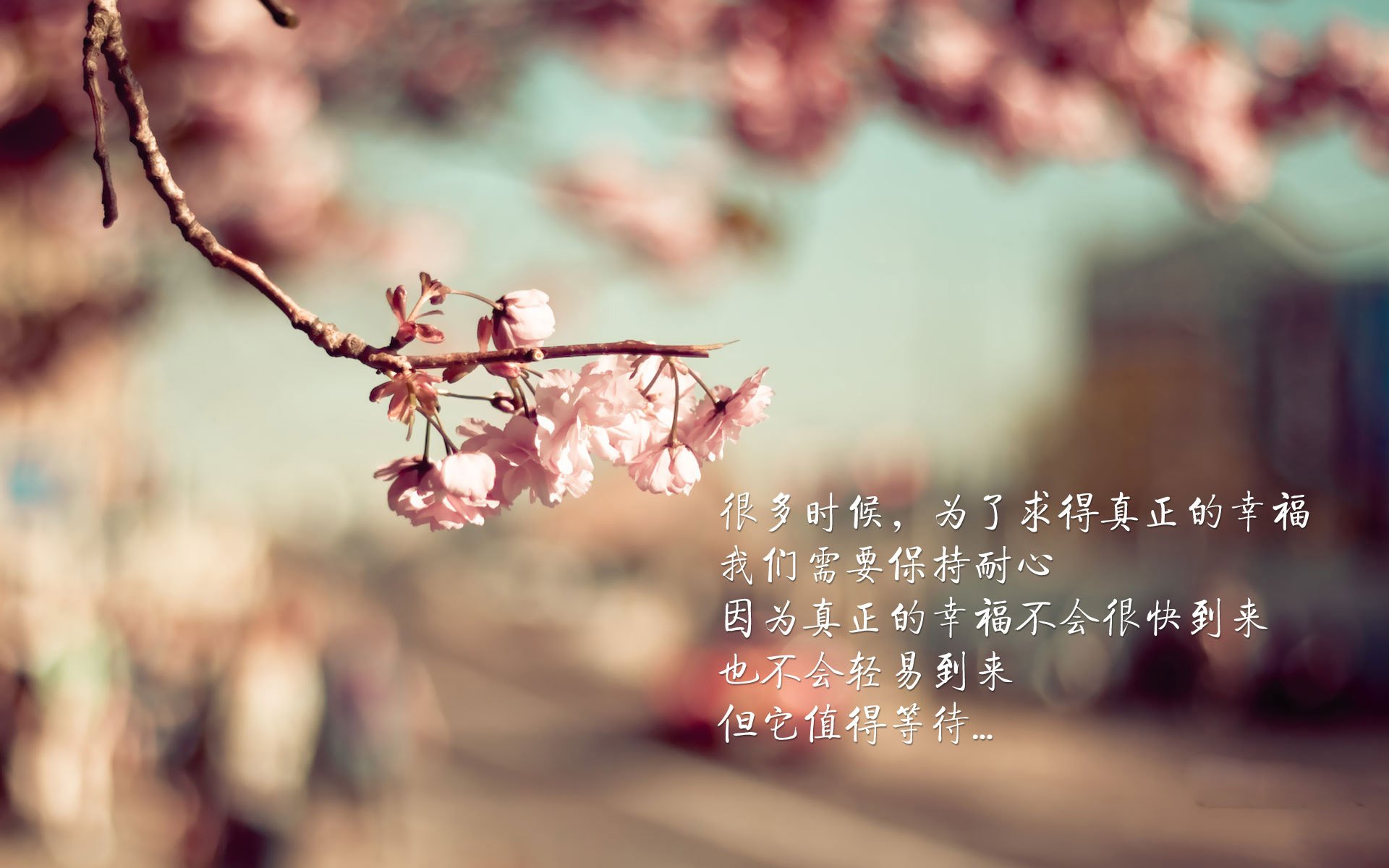 乐鱼体育登录-中国足球青少年训练营招生规模扩大，青少年足球培训招生