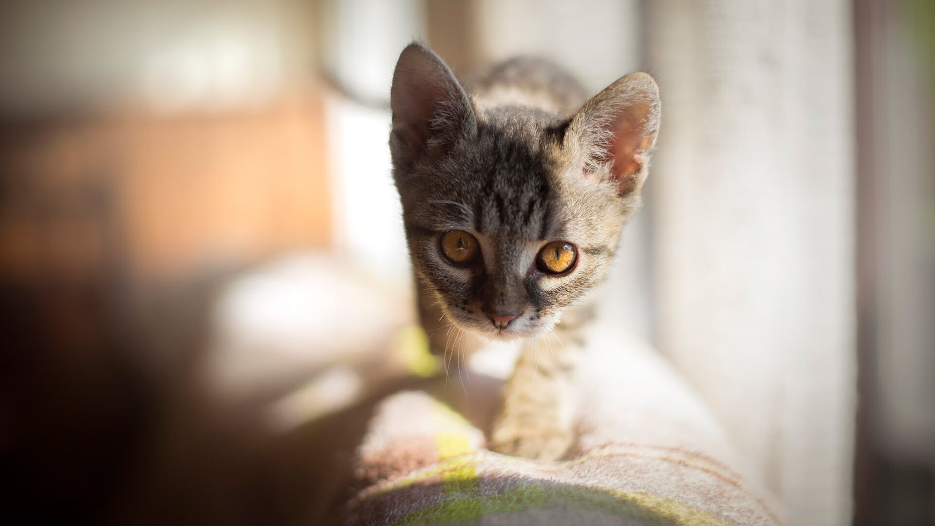 乔治·巴尔:冷静的思维和精准的球场判断,使他在关键时刻扭转局势