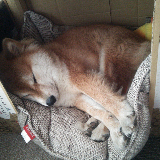 极限运动安全标准提升，极限运动安全措施