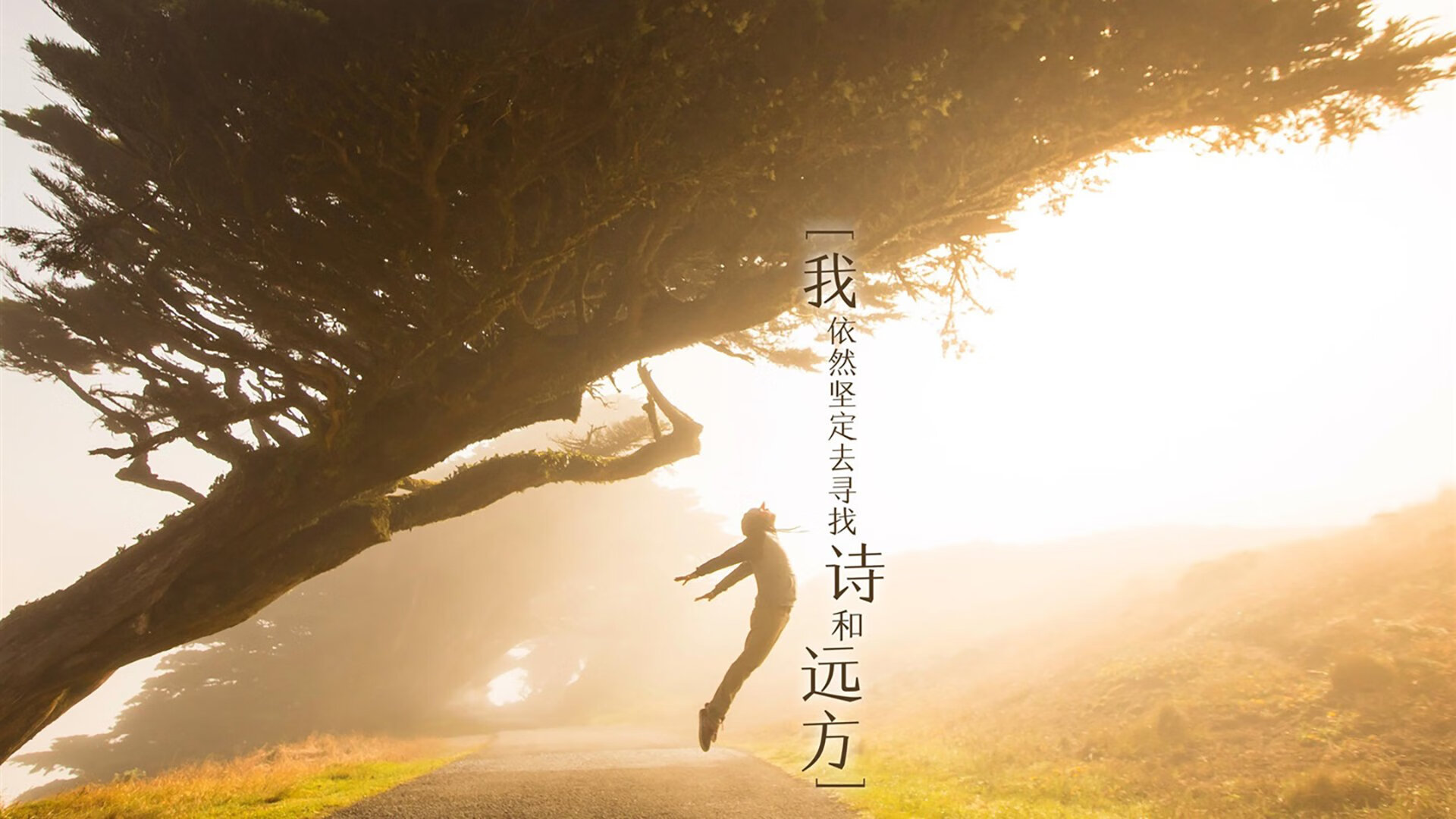 乐鱼体育平台官网-法国国家队新一代核心逐渐成型，冲击欧洲杯